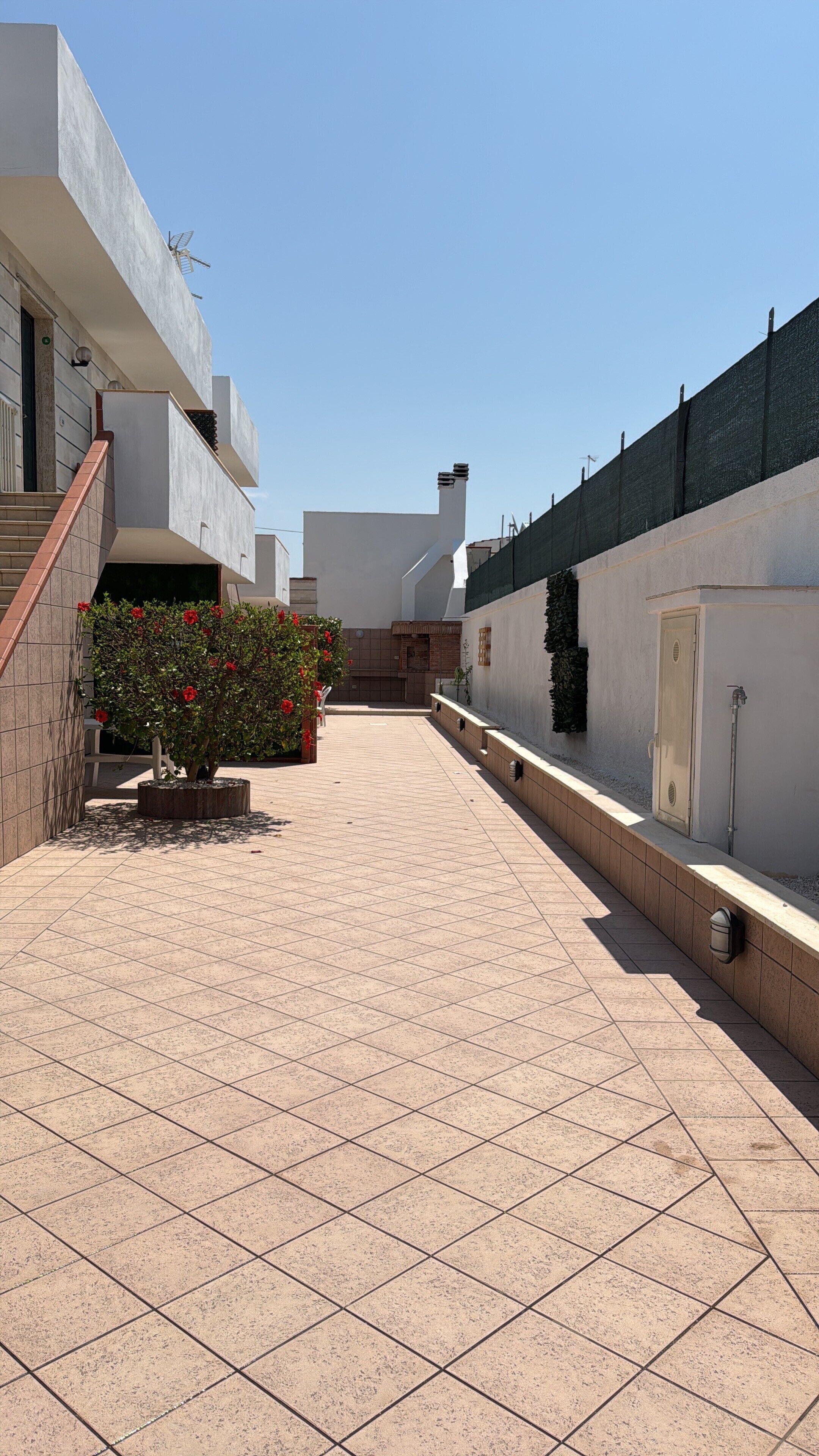 Un patio con piso de baldosas, una planta en maceta con flores rojas y un edificio de techo plano y chimenea.