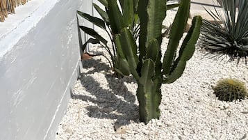 Außendetails