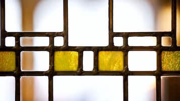 A close-up of a window with a grid pattern and frosted glass panes.