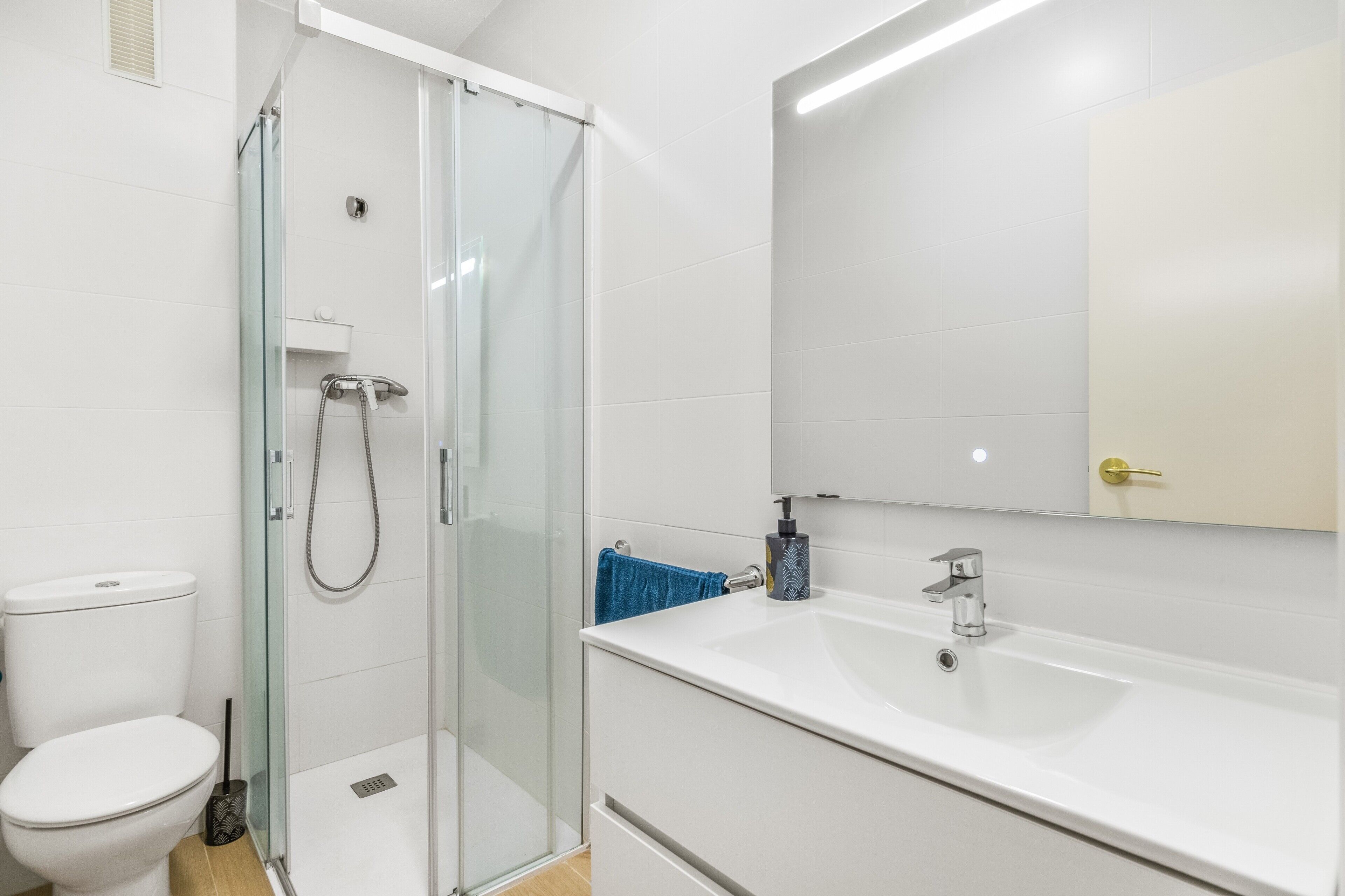 Dusche, Haartrockner, Handtücher