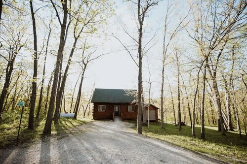 Cozy Pettinger Cabin @ Highest Elevation in CTY