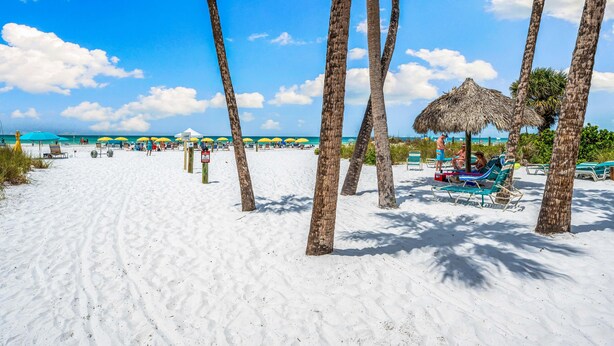 Condo, Multiple Beds (308) | Beach | On the beach, water skiing, rowing, fishing - Sea Shell by Beachside Management (Siesta Key)