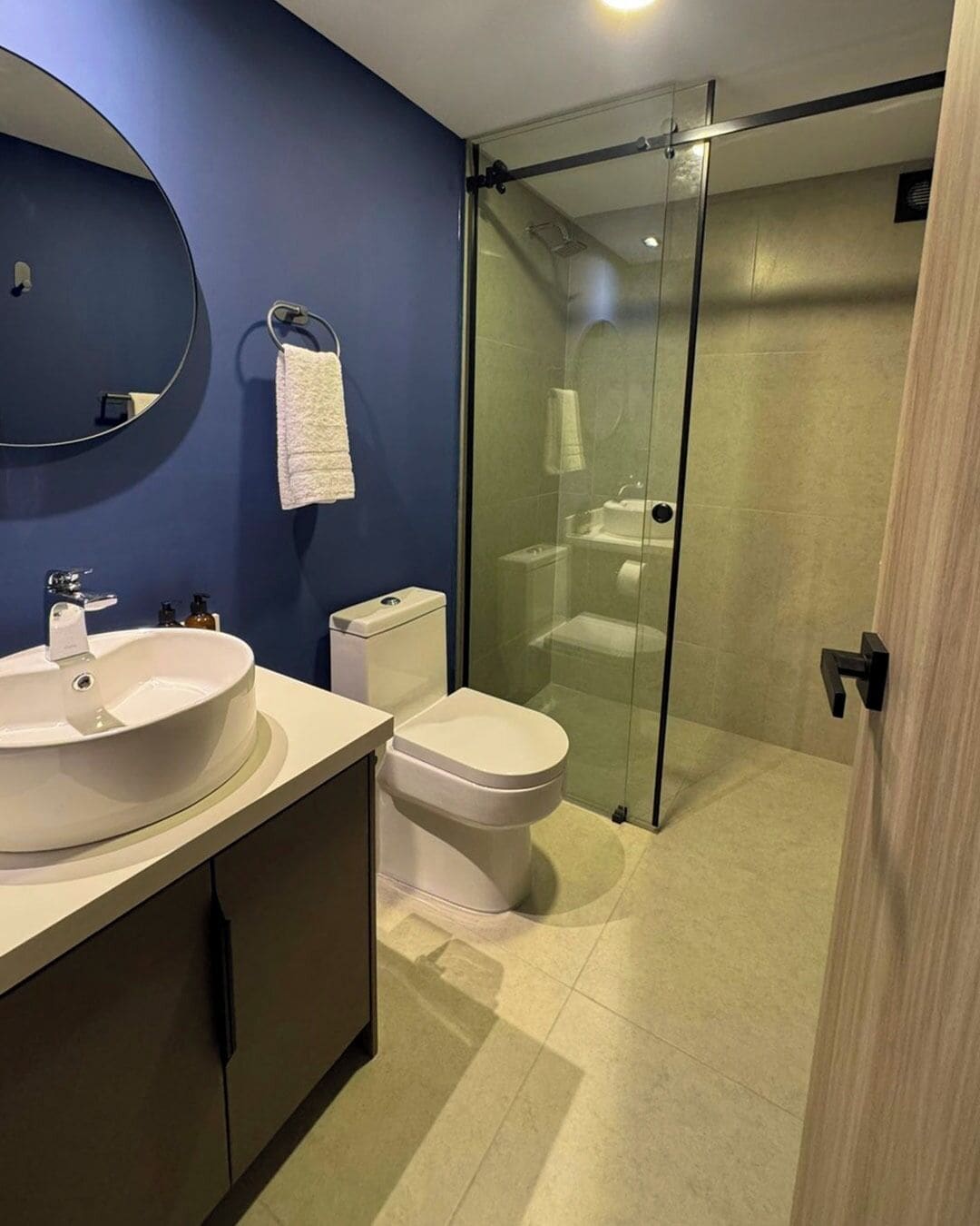 A modern bathroom with a glass shower enclosure, a white sink, and a toilet.