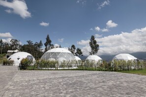 Chi tiết nội thất