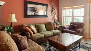 Télévision, cheminée, lecteur de DVD