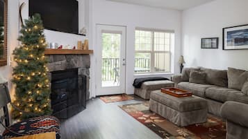 Télévision, cheminée, lecteur de DVD