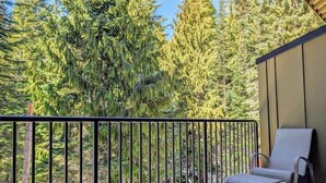 A balcony with a metal railing, a single chair, and a view of tall evergreen trees. - Chalet 75 at the Official Collins Lake Resort (Government Camp)