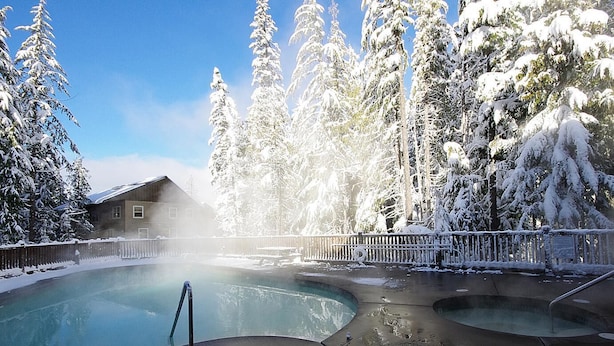 Un espace piscine avec un chalet en bois, entouré d’arbres couverts de neige.