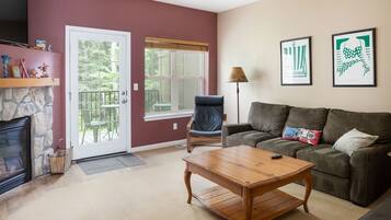 Télévision, cheminée, lecteur de DVD, baby-foot