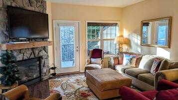 Télévision, cheminée, lecteur de DVD