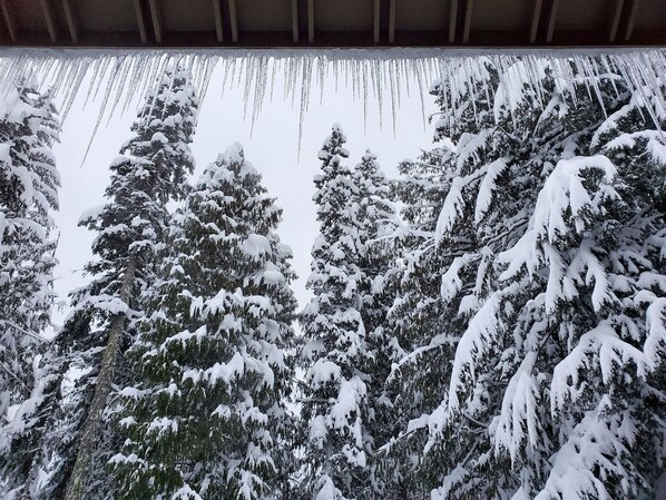 A view of snow-covered trees and icicles hanging from a roof.