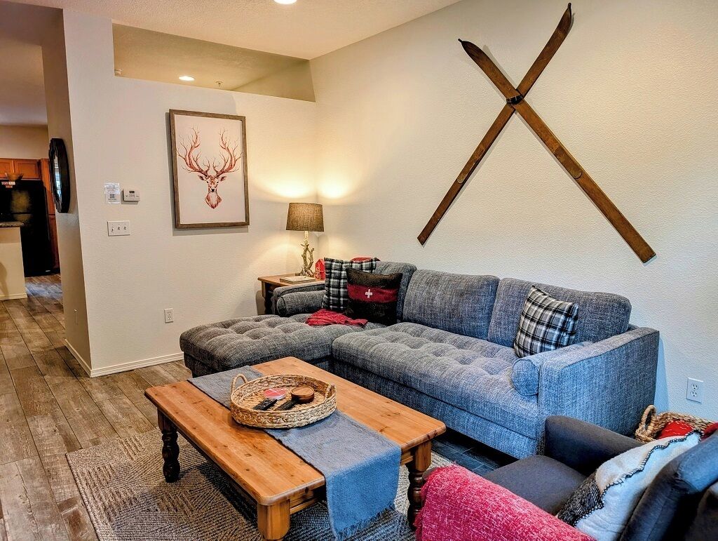 Télévision, cheminée, lecteur de DVD