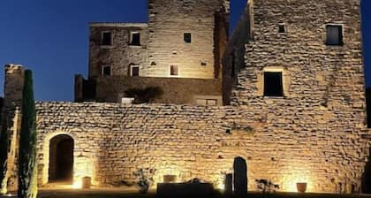 Château en Drôme Provençale