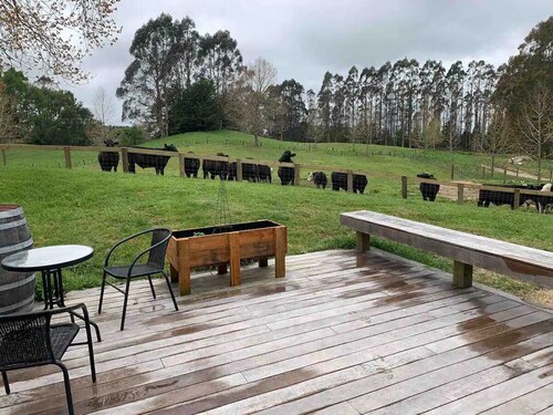 The woolshed - pet friendly luxury retreat