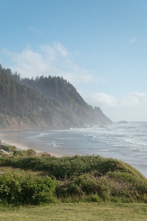 On the beach - Surfer's Dream | Ocean Front (Arch Cape)