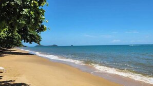 Une plage avec une eau claire, un rivage sablonneux et un arbre sur la gauche.
