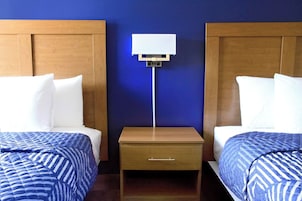 Ropa de cama hipoalergénica, colchones con pillow-top y escritorio