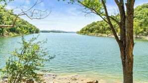 Un lac paisible, bordé d’une végétation luxuriante et d’arbres.