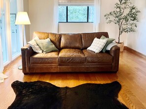 TV connectée, cheminée, livres