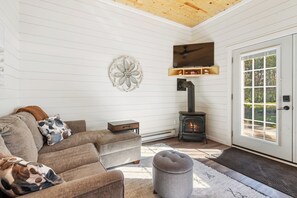 Smart TV, fireplace, books