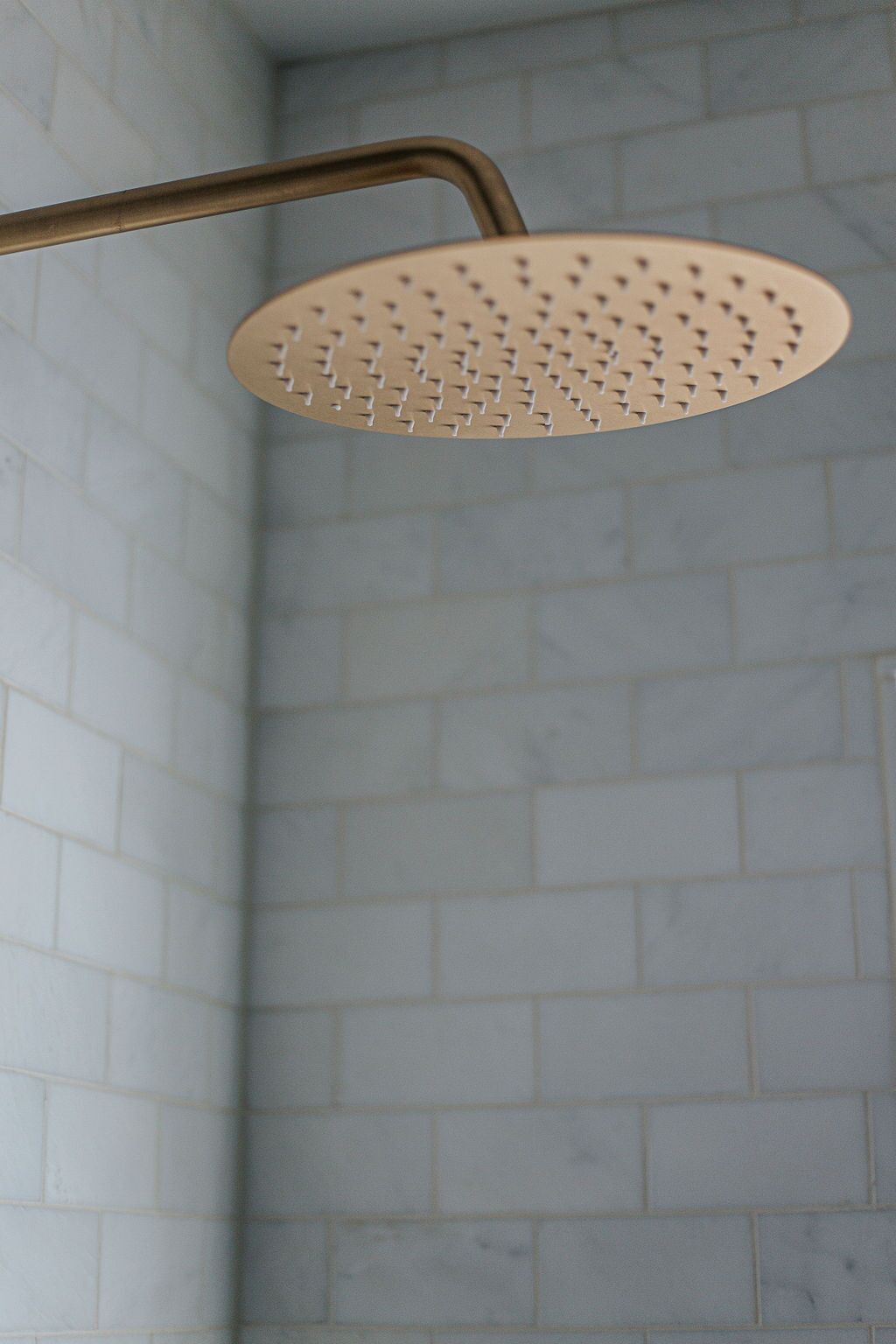 A showerhead with a circular design and a curved handle.
