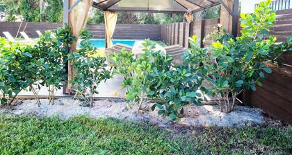 Heated Pool House Near Downtown West Palm Beach, Beaches, and Bars.