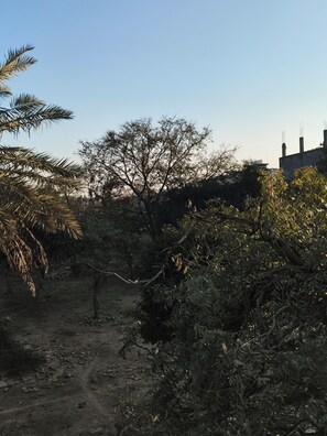 Miscellaneous - Stay in Vrindavan. Near ISKCON Temple Vrindavan  (Vrindavan)