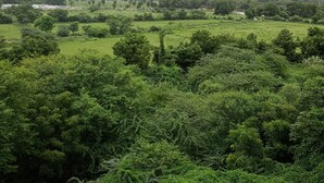 A landscape with dense greenery and scattered buildings.