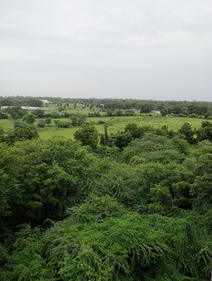 Miscellaneous - Stay in Vrindavan. Near ISKCON Temple Vrindavan  (Vrindavan)