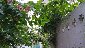 A courtyard with a green door, potted plants, and a concrete wall.