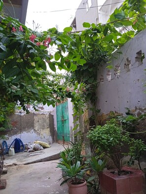 Property grounds - Stay in Vrindavan. Near ISKCON Temple Vrindavan  (Vrindavan)