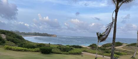 Àrea exterior de l'allotjament