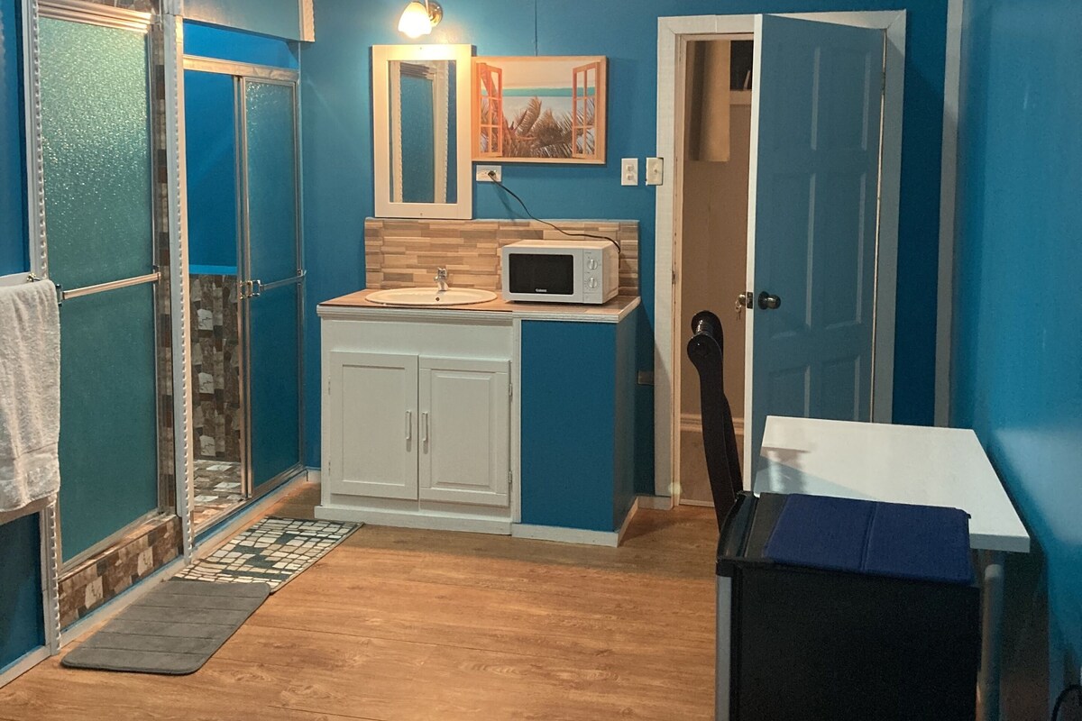 A room with blue walls, a wooden floor, a white cabinet, a microwave, a sink, a door, and a bed.