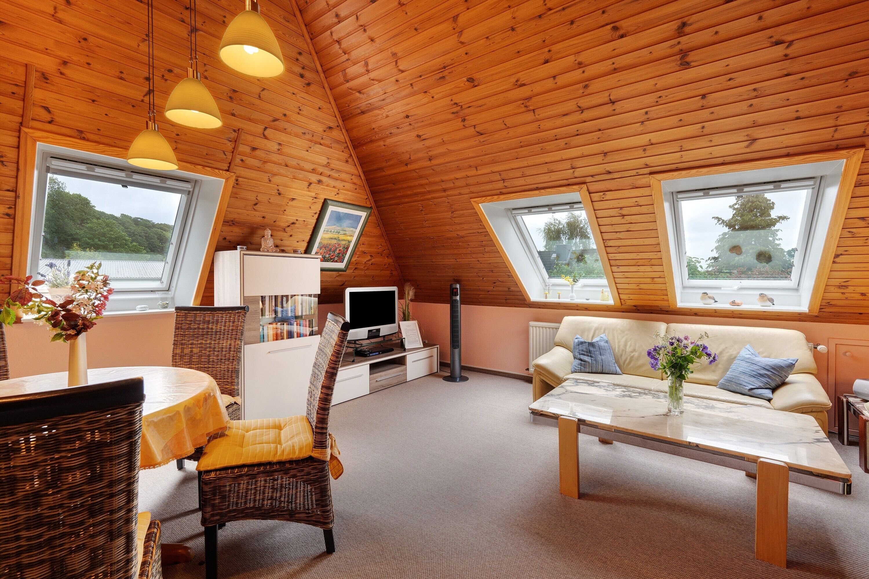 Télévision, lecteur de DVD, chaîne hi-fi