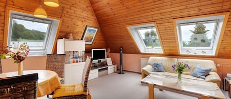 Télévision, lecteur de DVD, chaîne hi-fi