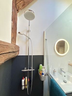 Shower, hair dryer, towels, soap
