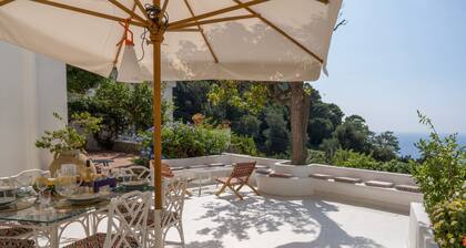 Villa Borboleta By Elite Villas