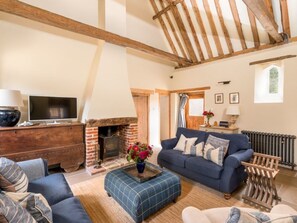 Smart-TV, Kamin, Bücher, Arbeitsbereiche