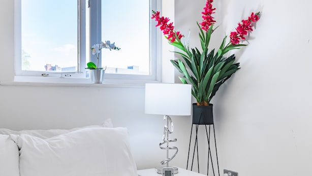 A bedroom with a bed, a bedside table with a lamp, a potted plant, and a window with a view of the sky. - London Oasis in Woolwich Arsenal  (London)