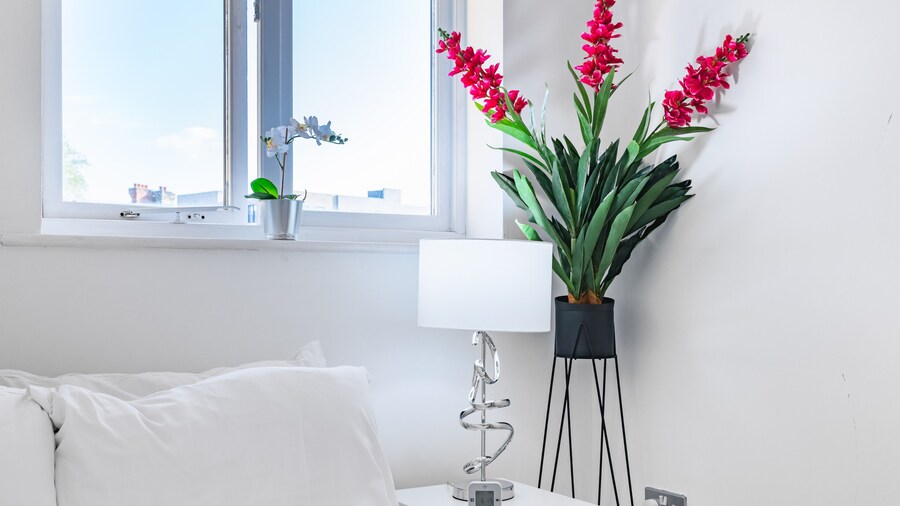 London Oasis in Woolwich Arsenal