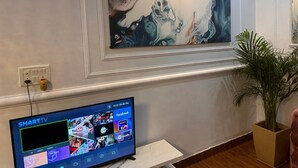 Una habitación con un cuadro abstracto grande en la pared, un televisor de pantalla plana mostrando varios servicios de streaming, y una planta en maceta sobre una mesa.