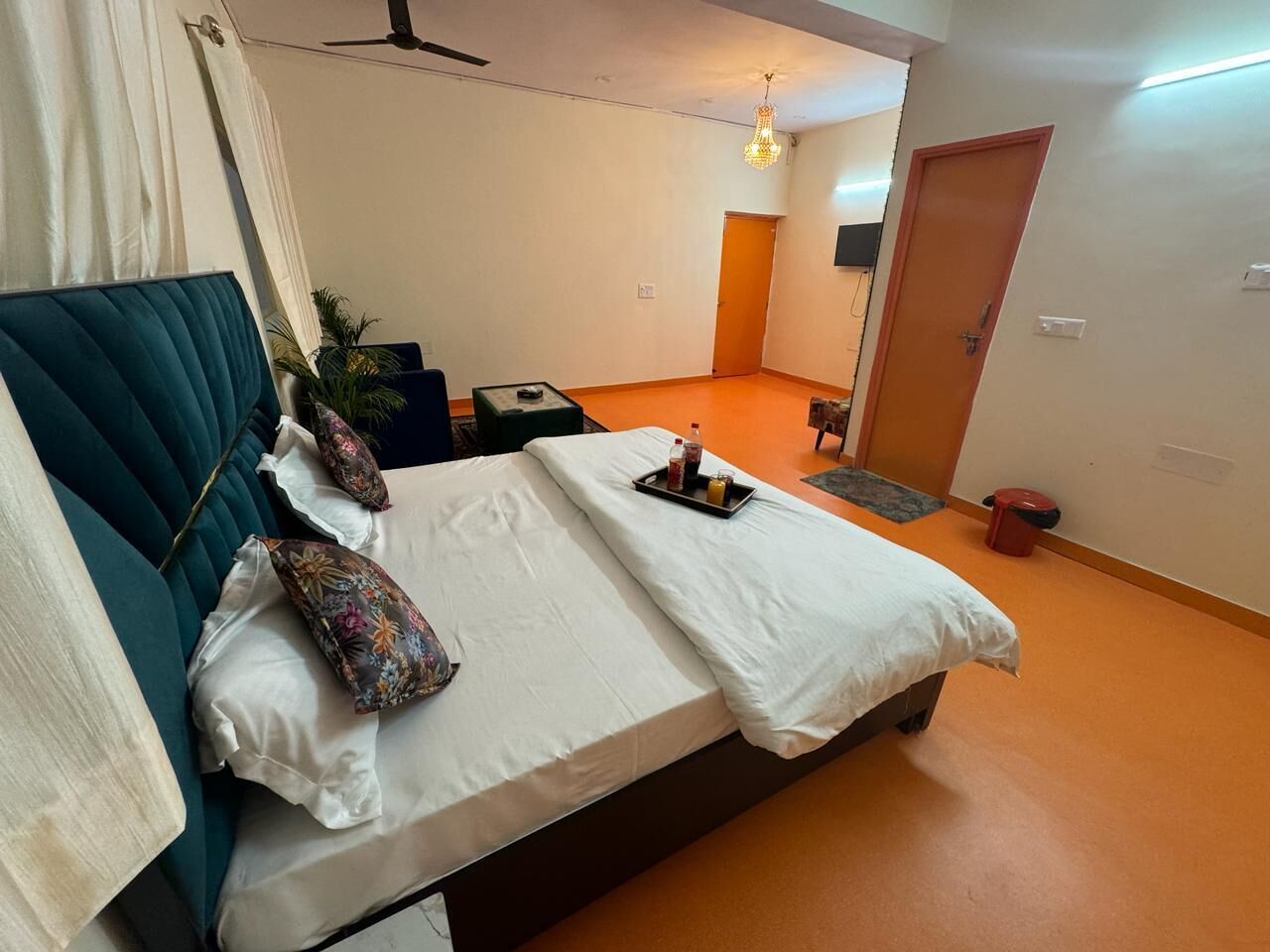 A bedroom with a bed, a bedside table, a nightstand, a potted plant, and a door.