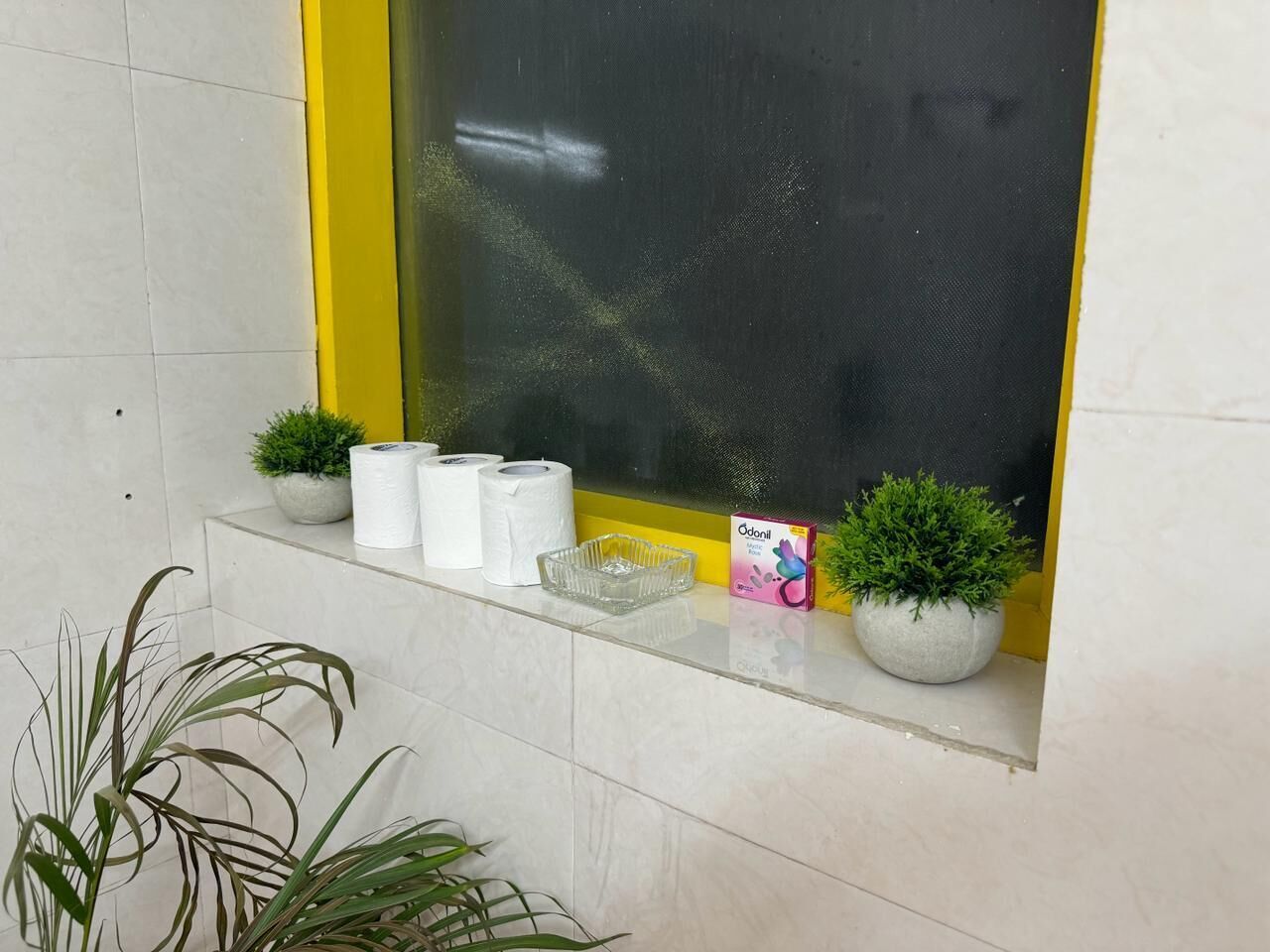 A bathroom with a window, toilet paper, a glass ashtray, and two potted plants.