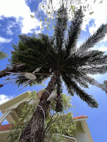 Le Hayat 4Bhk Pvt-Villa Kodaikanal TN