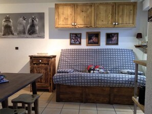 TV, DVD player, books, stereo - Le Grand-Bornand station, beau studio avec terrasse et vue à 180° sur les pistes (Le Grand-Bornand)