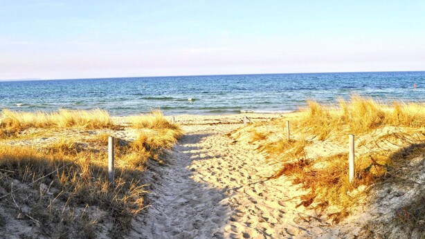 A sandy beach path leading to the ocean, with grass on either side and a wooden fence in the middle.
