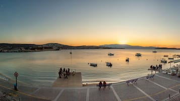 Un paseo marítimo con barcos, un muelle y gente.