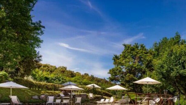 A clear pool with lounge chairs and umbrellas, surrounded by greenery. - RIPOSTENA COUNTRY HOUSE The Shed (Casole)