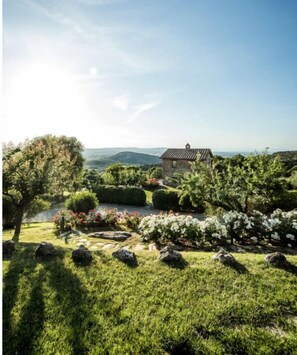 Área da propriedade