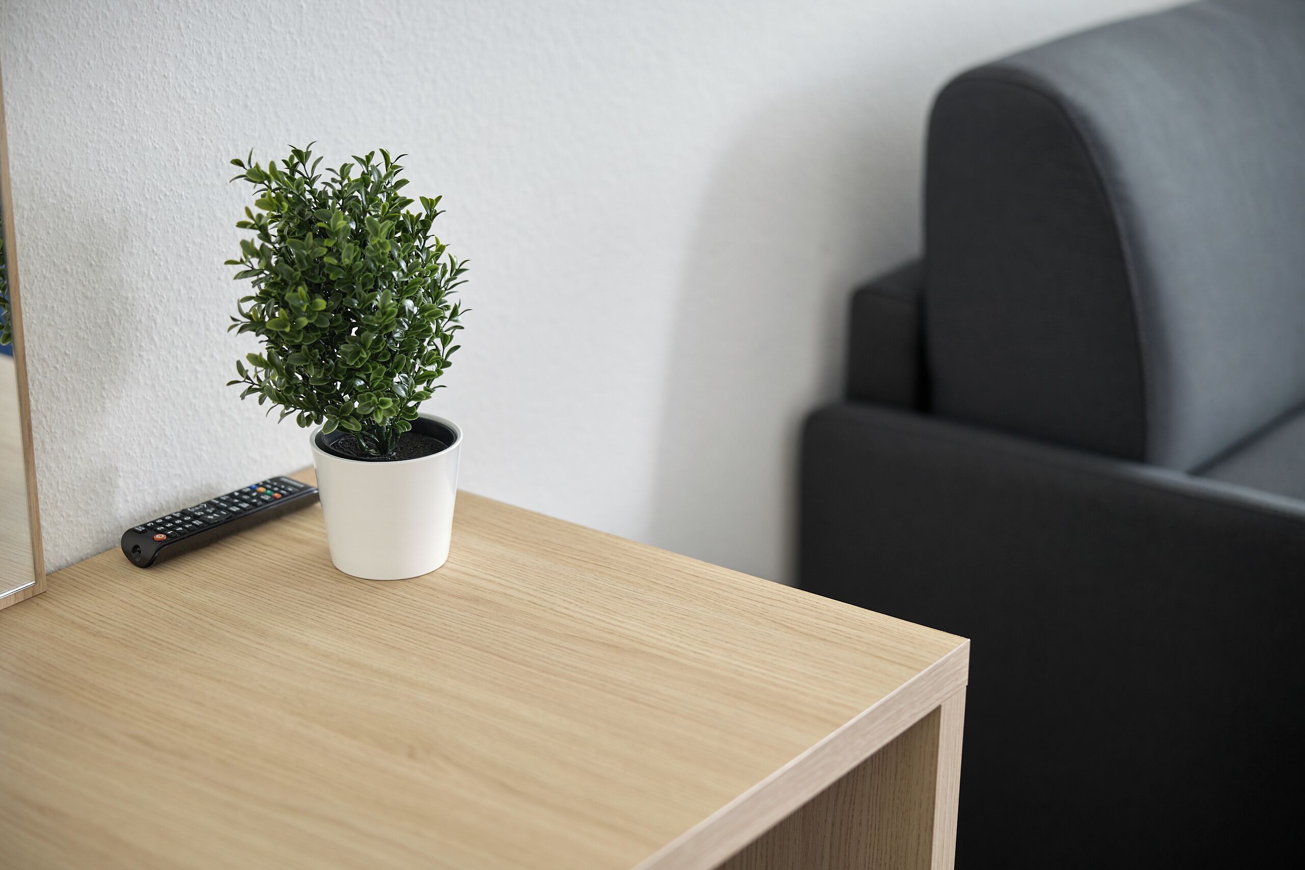 Una planta en maceta sobre una mesa de madera junto a un control remoto.